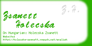 zsanett holecska business card